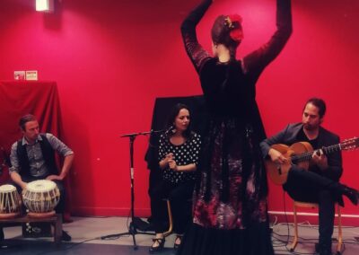 spectacle de flamenco collège pass culture