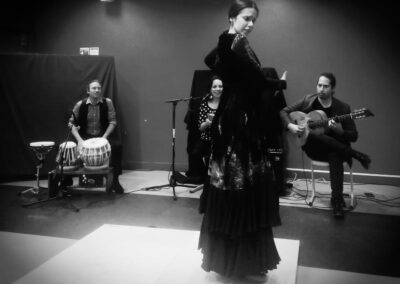 spectacle de flamenco collège